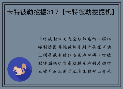 卡特彼勒挖掘317【卡特彼勒挖掘机】