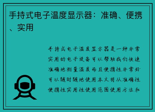 手持式电子温度显示器：准确、便携、实用
